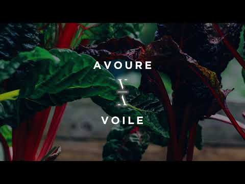 Avoure - Voile - UCozj7uHtfr48i6yX6vkJzsA