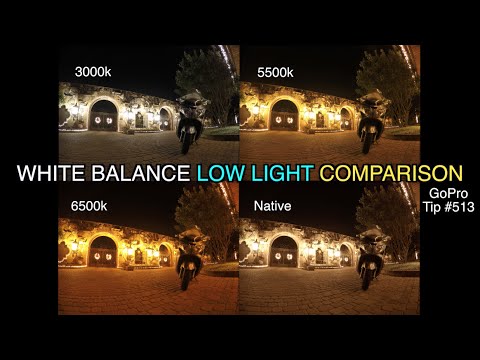 GoPro White Balance Photo Low Light Comparison - GoPro Tip #513 - UCTs-d2DgyuJVRICivxe2Ktg