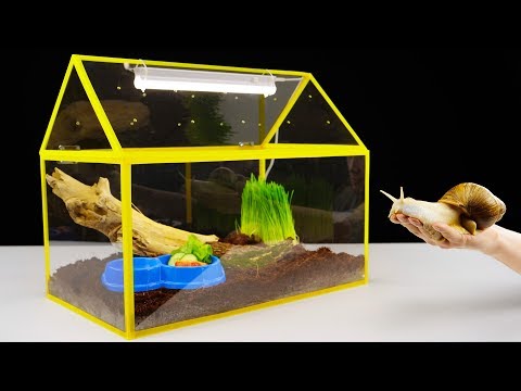 DIY Unusual Home for a Giant Snail - UCZdGJgHbmqQcVZaJCkqDRwg