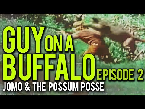 Guy On A Buffalo - Episode 2 (Orphans, Cougars & What Not)