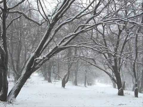 Shedaisy - Jingle bells