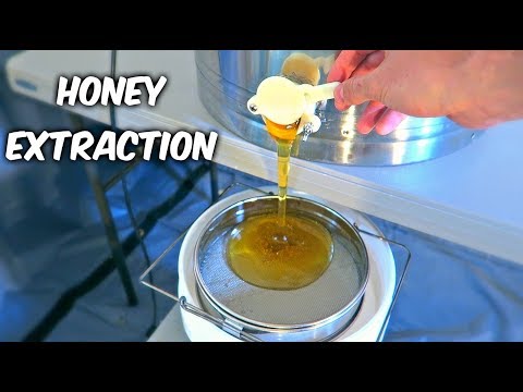 Harvest Honey - Part 2 - UCkDbLiXbx6CIRZuyW9sZK1g