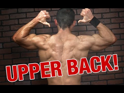 Upper Back and Trap Thickness (2 KEY EXERCISES!) - UCe0TLA0EsQbE-MjuHXevj2A