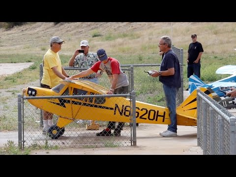 Monster Scale Clipped Wing Cub - Warbirds & Classics 2015 - UC5q8ss88jxwMlHf_A-XZGlA
