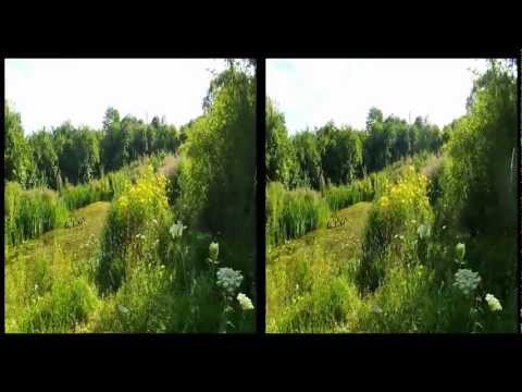 3D FPV Quadcopter - English Garden - UC8SRb1OrmX2xhb6eEBASHjg