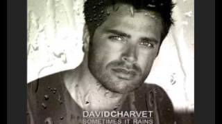 David Charvet - Fall into you