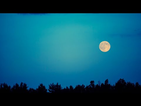 Deep Sleep Music 24/7, Sleeping Music, Relaxing Music, Sleep Meditation, Calming Music, Sleep Music - UCmQK52xYtdeg7EYiQhqEeZA