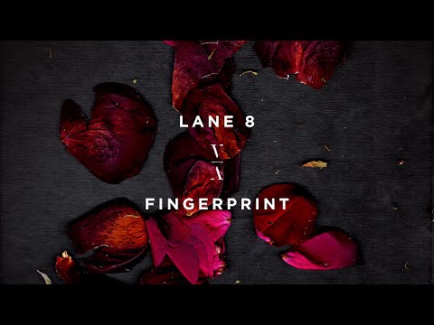 Lane 8 - Fingerprint - UCozj7uHtfr48i6yX6vkJzsA