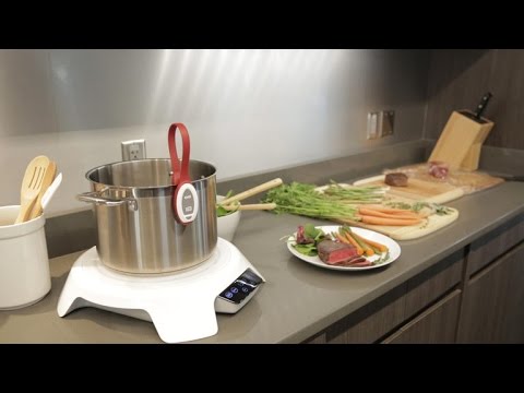 Induction meets sous vide in a cooker you can actually afford - UCOmcA3f_RrH6b9NmcNa4tdg
