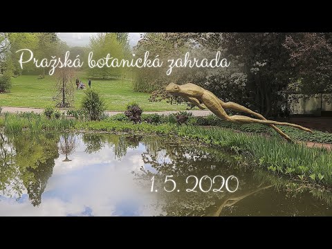 Návštěva pražské botanické zahrady 1. 5. 2020
