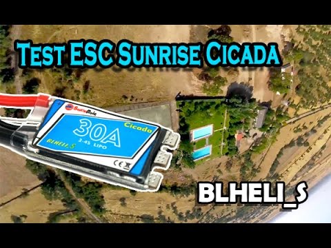 Test ESC Sunrise Cicada - BLHELI_S - UCxyuLTkrL12OQndiL6--8_g
