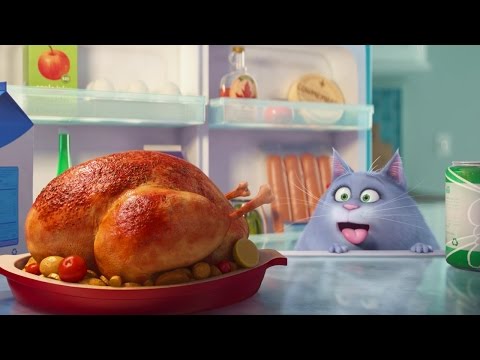 The Secret Life of Pets - Trailer #1 - UCKy1dAqELo0zrOtPkf0eTMw