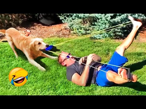 Best Funny Animal Videos 2022 😺 - Funniest Cats And Dogs Videos 😍😇 - UC09IvZwjpunzrdHH1EHok-w