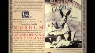 Sleepytime Gorilla Museum - Ambugaton