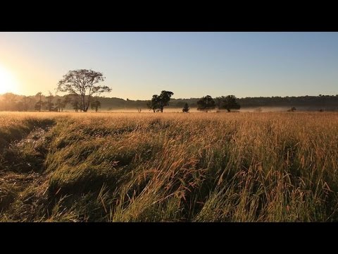 Top tips for great summer photos - UCOmcA3f_RrH6b9NmcNa4tdg