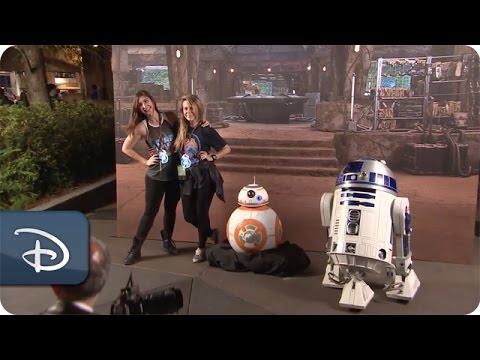 'Star Wars: The Force Awakens' Meet-Up | Walt Disney World - UC1xwwLwm6WSMbUn_Tp597hQ