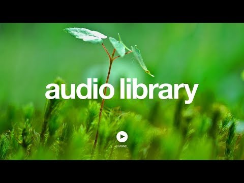 Angelic Forest - Doug Maxwell, Media Right Productions (No Copyright Music) - UCht8qITGkBvXKsR1Byln-wA