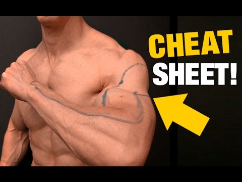 Pullup vs Chinup Grip Width (CHEAT SHEET!) - UCe0TLA0EsQbE-MjuHXevj2A