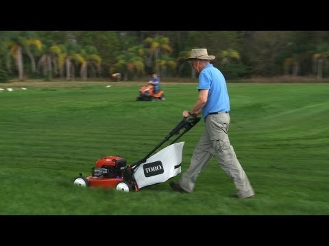 Keep your lawn looking its best | Consumer Reports - UCOClvgLYa7g75eIaTdwj_vg