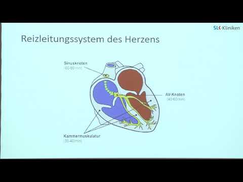 ”Langsame” Herzrhythmusstörungen & Herzschrittmachertherapie - Dr. Antje Meißner - SLK