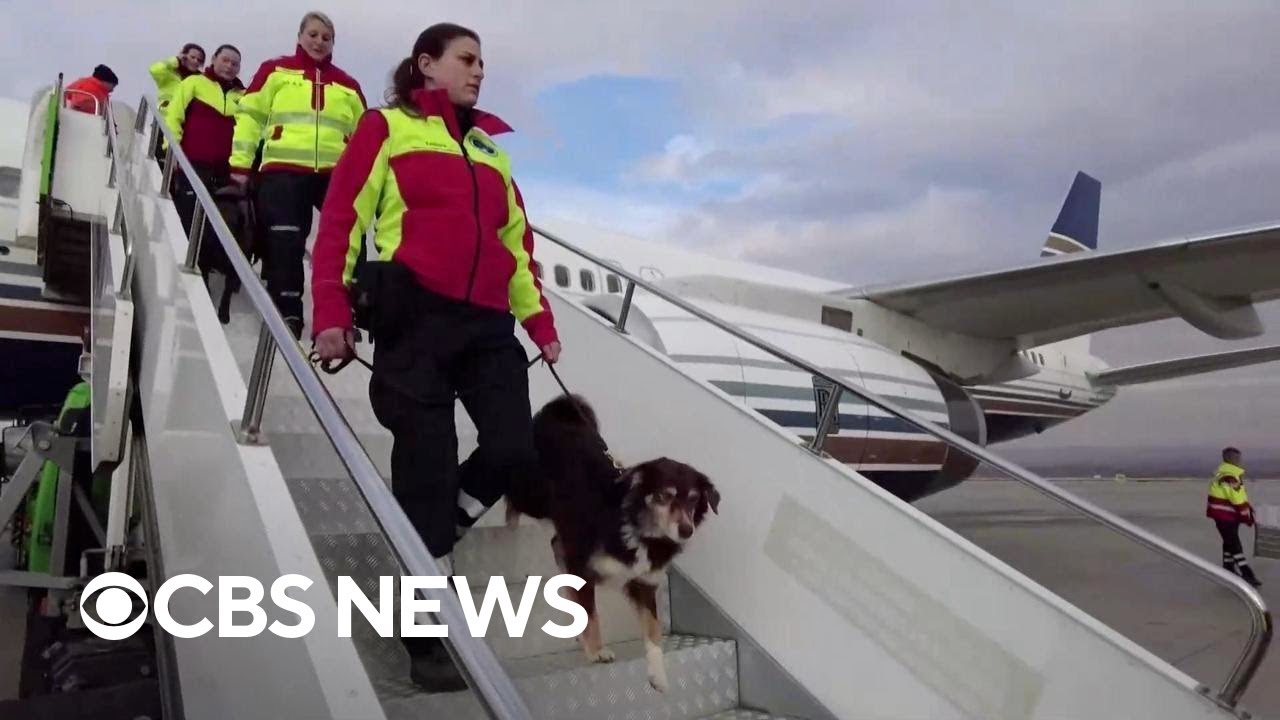 German rescue dogs arrive in Turkey to help search for survivors