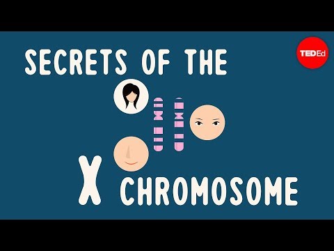 Secrets of the X chromosome - Robin Ball - UCsooa4yRKGN_zEE8iknghZA