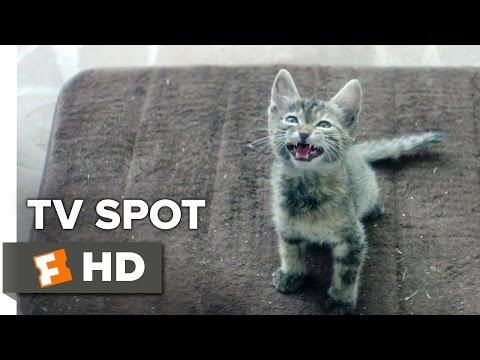 Keanu TV SPOT - How Far? (2016) - Keegan-Michael Key, Jordan Peele Movie HD - UCkR0GY0ue02aMyM-oxwgg9g