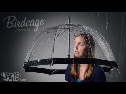 Adorable Birdcage Umbrella - UCDRbNGFusqlXX4a5vwi9ouQ