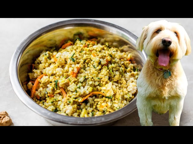 how-to-make-healthy-dog-food-at-home-chipotless