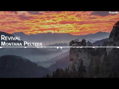 【Chillstep】Montana Peltzer - Revival - UCYAlcxBuDE_b5RTgs6A2d_Q