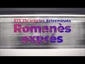 Image of the cover of the video;Romanès exprés E13: Els articles determinats