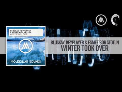 Bluskay, Keyplayer & Esmee Bor Stotijn - Winter Took Over [FULL] Molekular - UCsoHXOnM64WwLccxTgwQ-KQ