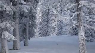 Martin Barre - "Winter Snowscape"