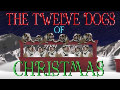 12 Days Of Christmas (Dog Version) - UCPIvT-zcQl2H0vabdXJGcpg