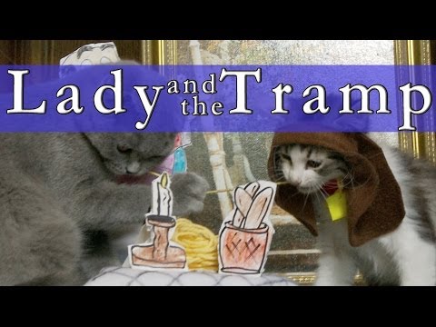 Walt Disney's Lady and the Tramp (Cute Kitten Version) - UCPIvT-zcQl2H0vabdXJGcpg