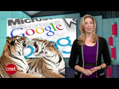 CNET BUZZ Report: Here come the sweet Honeycomb tablets - UCOmcA3f_RrH6b9NmcNa4tdg
