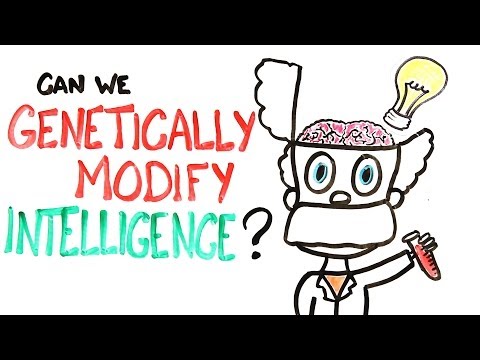 Can We Genetically Improve Intelligence? - UCC552Sd-3nyi_tk2BudLUzA