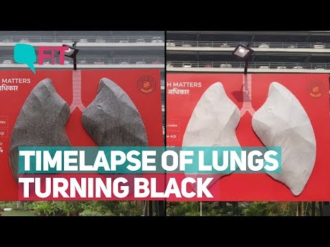 WATCH #Shocking | Delhi SMOG Turns Lungs BLACK in 10 Days - A Time lapse #India #Environment #Pollution