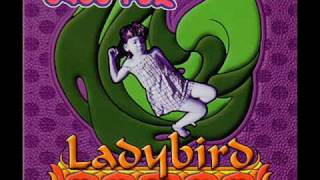 Baby Fox - Ladybird (Cujo Remix)(1996)