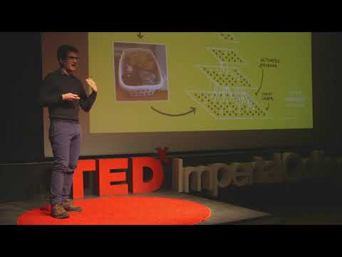 Towards Artificial General Intelligence | Oriol Vinyals | TEDxImperialCollege - UCsT0YIqwnpJCM-mx7-gSA4Q