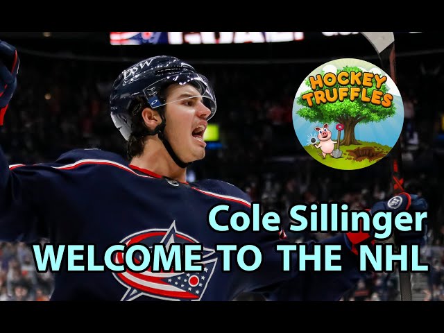 Cole Sillinger: The Next Big Thing in Hockey?