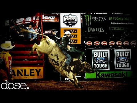 Bull Riding in NYC?! - UCsert8exifX1uUnqaoY3dqA