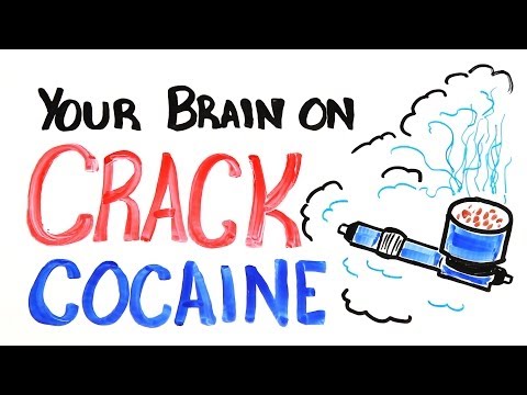 Your Brain on Crack Cocaine - UCC552Sd-3nyi_tk2BudLUzA