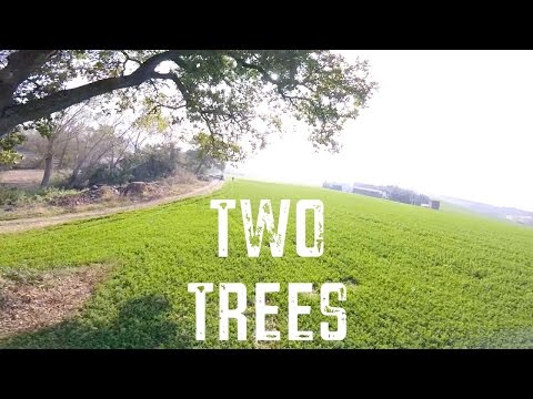 TWO TREES // Lumenier Qav210 - UCTcm6JT6Lu-H2J4l2Qq0IUw