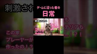 初めてゲームに沼った絵描きの日常 #猫ミーム #個人勢vtuber #ff14初心者