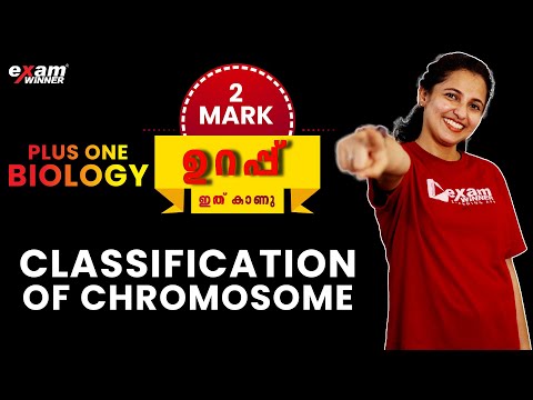 Plus One Exam | Biology | Classification of Chromosome | Exam Winner