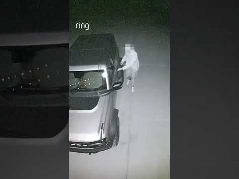 A stranger tried to break into Craig's car at 3:00 AM. Thankfully, the Floodlight sent them running.