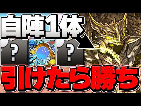 自軍アグリゲート1体で億兆安定攻略！引けた人は勝ち組確定！最新テンプレ解説【パズドラ】