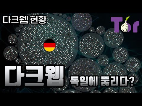 지금 난리 난 다크웹, 독일이 진짜 뚫었다고??? | 전세계가 집중하는 사건