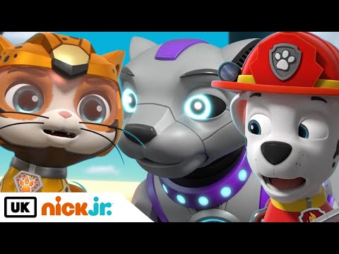 Giant Robot Cat Meow-Meow! | PAW Patrol & Cat Pack! | Nick Jr. UK